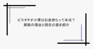 ピスタチオ小澤はお金持ちって本当？解散の理由と現在の姿を紹介